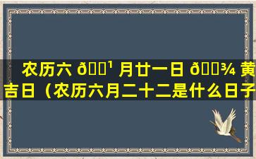 农历六 🌹 月廿一日 🌾 黄道吉日（农历六月二十二是什么日子）